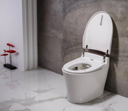 洗之朗馬桶堵塞原因是什么【如何防止馬桶堵塞】