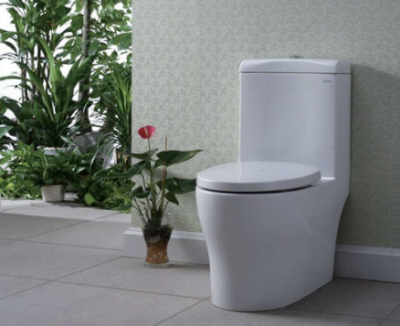 洗之朗馬桶堵塞原因是什么【如何防止馬桶堵塞】