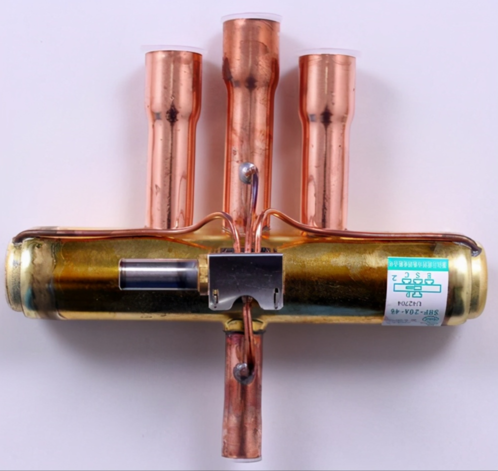 �����{���Ɵ�