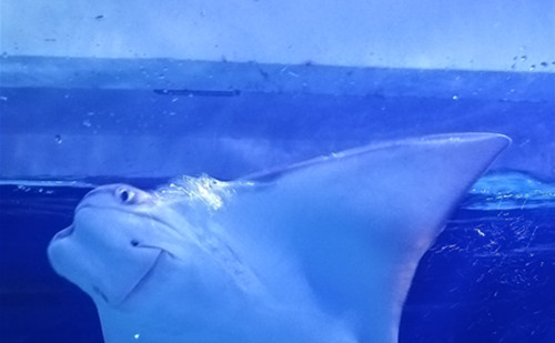 �V�݆T���坍�͟��C(j��)�r��_���I(y��)����(w��)