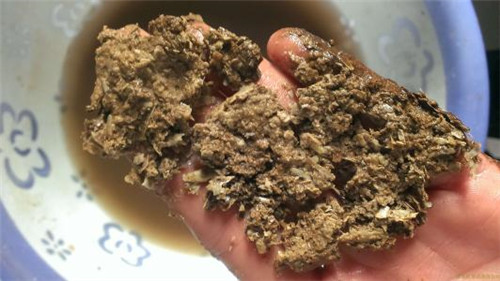 紹興嵊州家用熱水器清洗價格_隨叫隨到