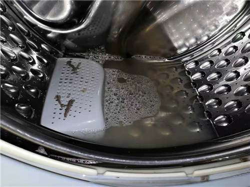 ���½�����ϴϴ�C��˾�����Xһ�__���I(y��)����