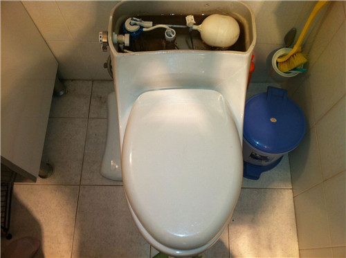 ���ݲ��_���RͰ�S���c�����Ԓ_�S�r���T�S��