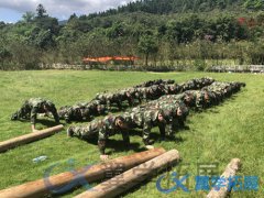 泉州軍事拓展公司,泉州軍事拓展活動(dòng)